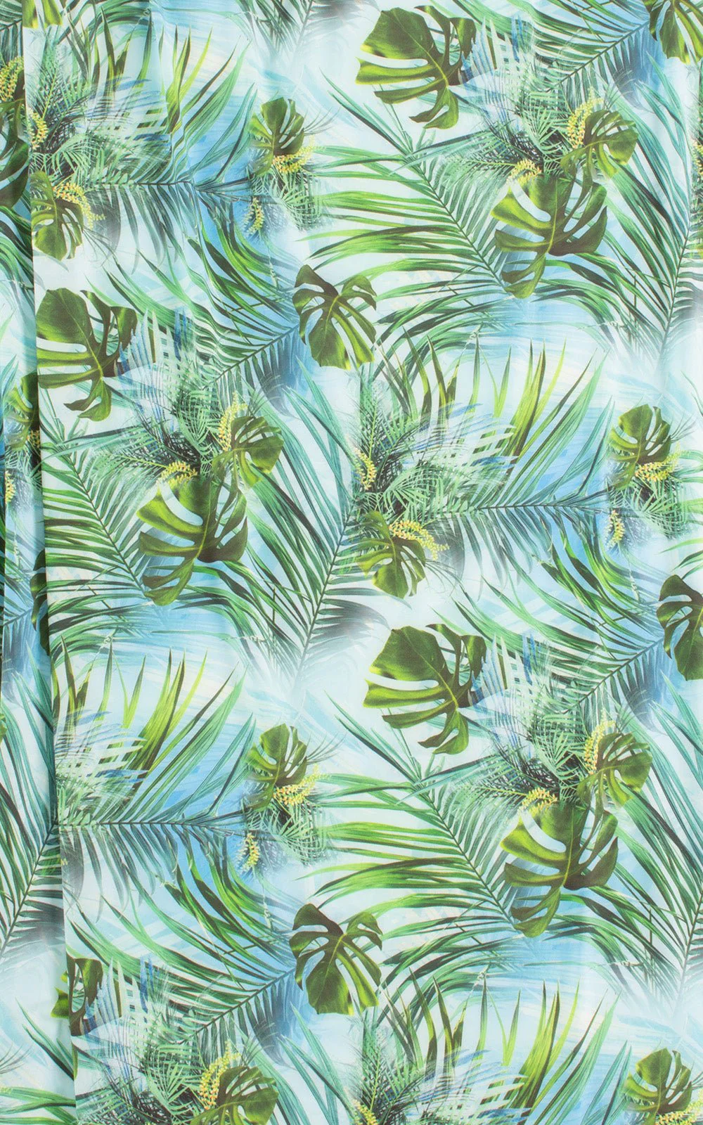 B4 - Womens High Cut Thong - Prints - Image 12