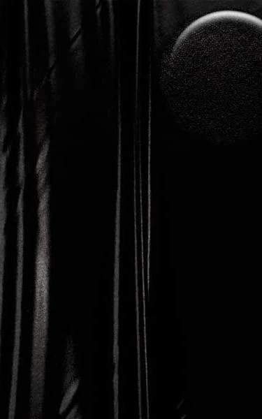 B53 - Womens Surfer Runched Swimsuit Bottom - Metallics - Image 6